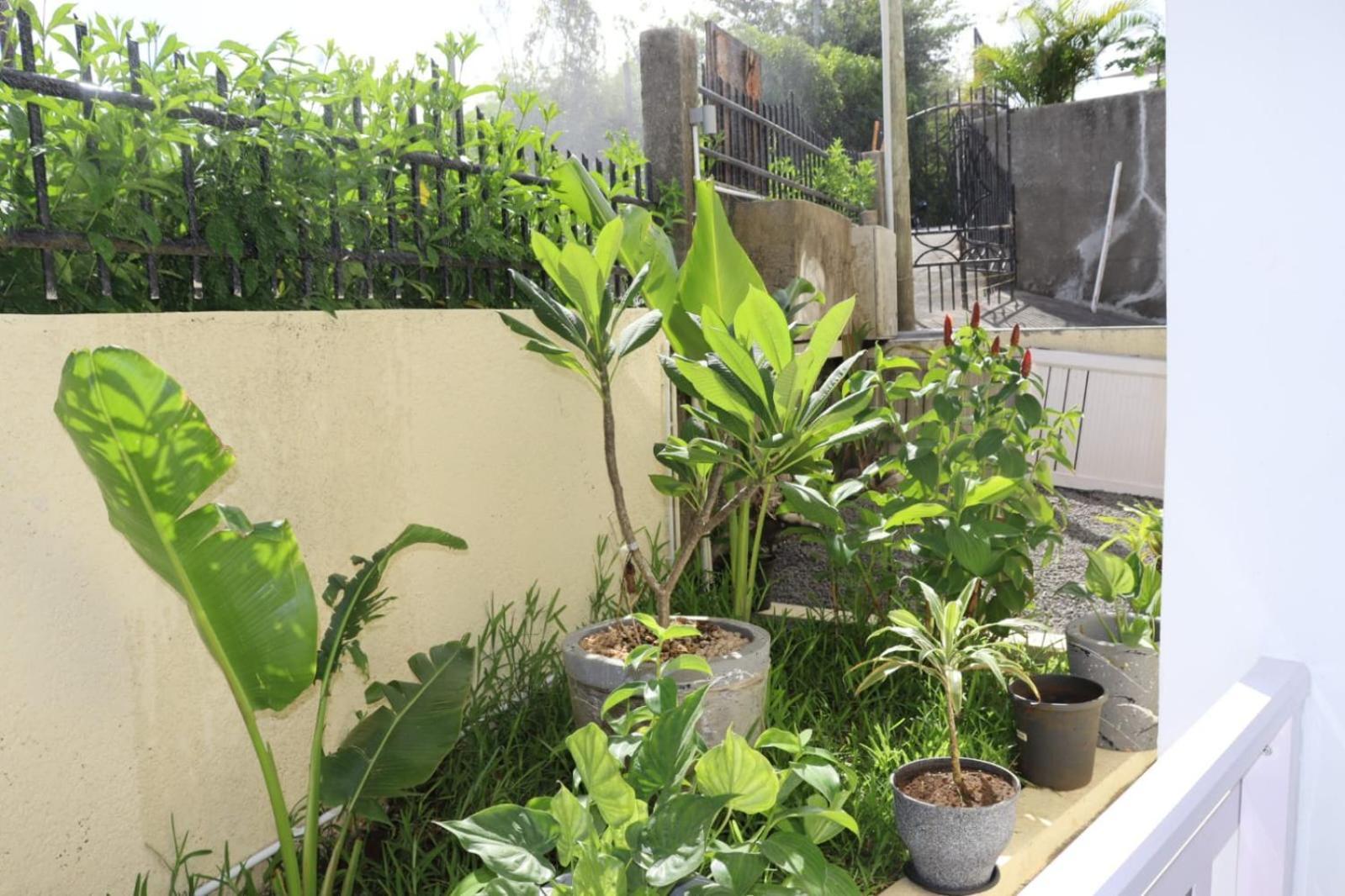 Garden Suite Trou d'Eau Douce Bagian luar foto
